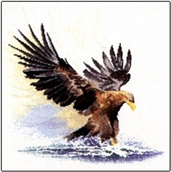 Heritage Crafts HC481 Eagle In Flight by John Clayton - Flights Of Fancy