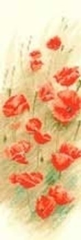 HC901 Wild Poppies by John Clayton - Flower Panels Heritage Crafts