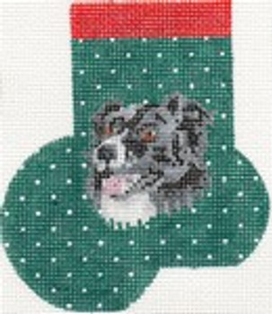 ab369 A. Bradley border collie mini-sock 3 x 4  18 Mesh