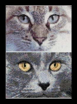 GOK541A  Thea Gouverneur Kit Cats - Jack & Luna 6.8" x 4.8" EACH; Aida; 16ct 
