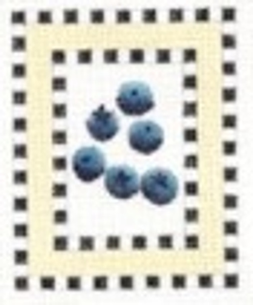 DD-123 Blueberries DENISE DeRUSHA DESIGNS 8 x 9 18 Mesh