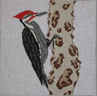 pil267 woodpecker 13m J. Child Designs