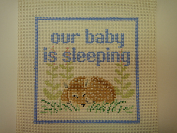 S64 Our Baby Sleeping13 Mesh 6x6 The Studio Midwest 