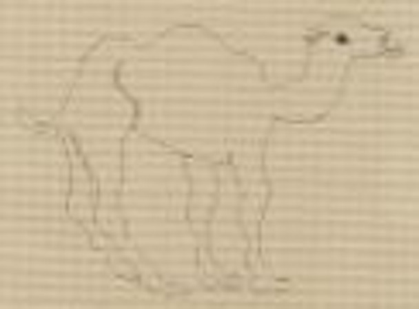 PT-310-A Camel (ecru canvas)  Designs by Petei 18 Mesh 7½ x 7½