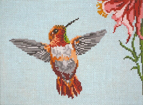 #1620-13 Rufous Hummingbird 13 Mesh - 9-1/2" x 7"  Needle Crossings