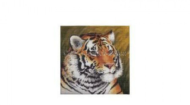 LGDasp403 Tiger #18 Mesh 6" x 6" Susan Roberts Needlepoint