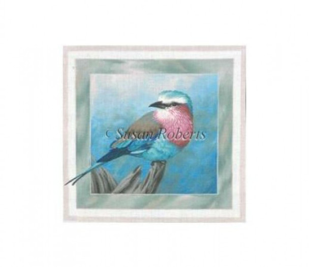 TTAP319 Lilac Breasted Roller Bird #18 Mesh 11½” x11¼” Susan Roberts Needlepoint