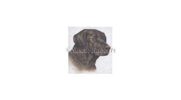 TTASP216 Chocolate Lab #18 Mesh 4"' x 4" Susan Roberts Needlepoint