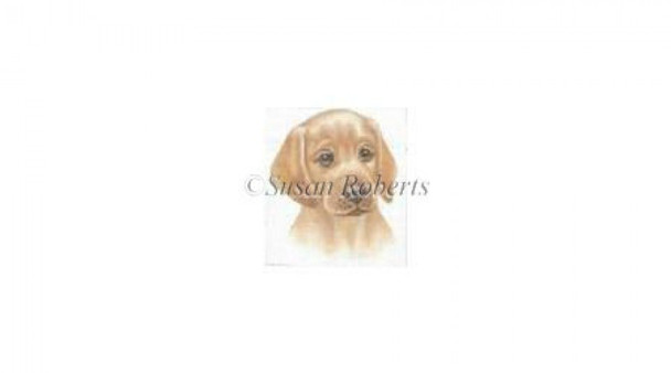 TTASP217 Golden Lab Puppy #18 Mesh 3½” x 4” Susan Roberts Needlepoint
