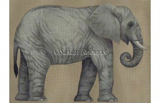 TTASP333 Elephant #18 Mesh 9” x 7” Susan Roberts Needlepoint