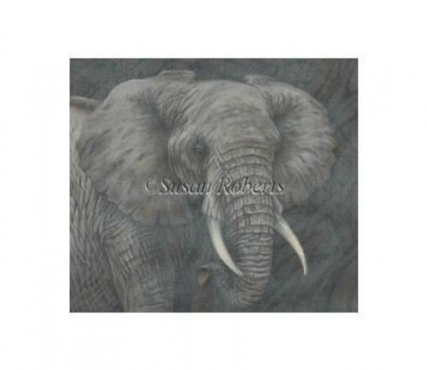 TTAP447 African Elephant #18 Mesh 13 ½” x 12” Susan Roberts Needlepoint