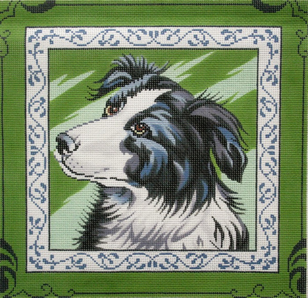 P1260 Lee's Needle Arts Border Collie. Hand-painted canvas - 13 Mesh 2012 12in x 12in