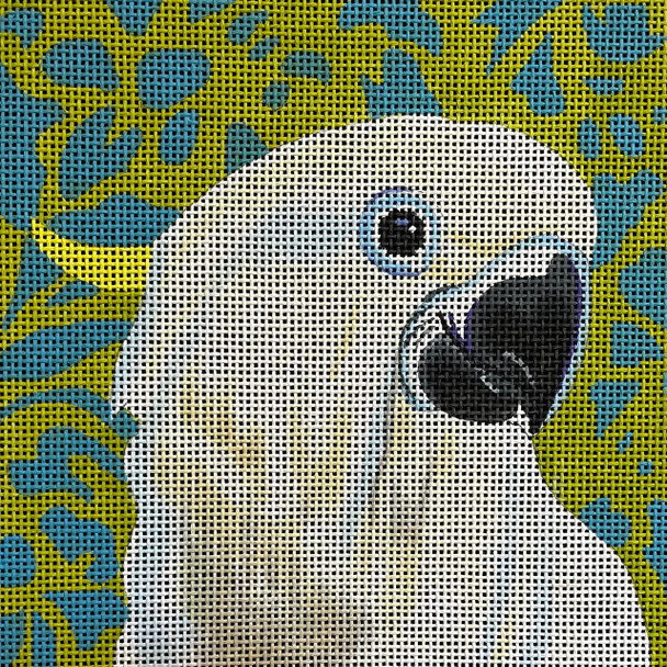 AN114 Animal Colors of Praise 13 Mesh Canvas White Parrot
