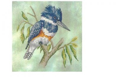 Belted Kingfisher by Crossed Wing Collection 05-2621 