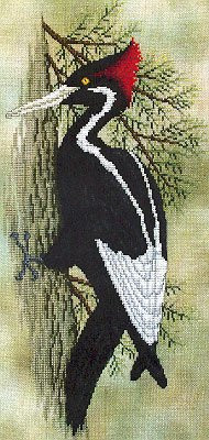 Back From The Brink (Woodpecker) by Crossed Wing Collection 06-1935 