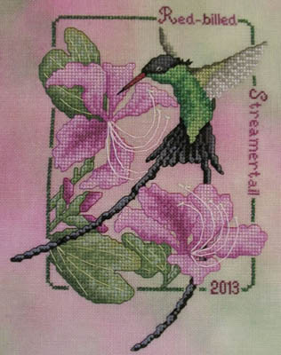 Red Billed Streamertail-2013 Hummingbird 79 x 105 Crossed Wing Collection 13-1573