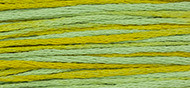 6-Strand Cotton Floss Weeks Dye Works 2206 Pistachio