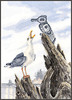 Seagull 150w x 210h by Stitching Studio, The Counted Cross Stitch Pattern 13-2485