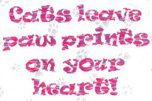 Paw Prints by Xs And Ohs 172 x 110 13-1075 