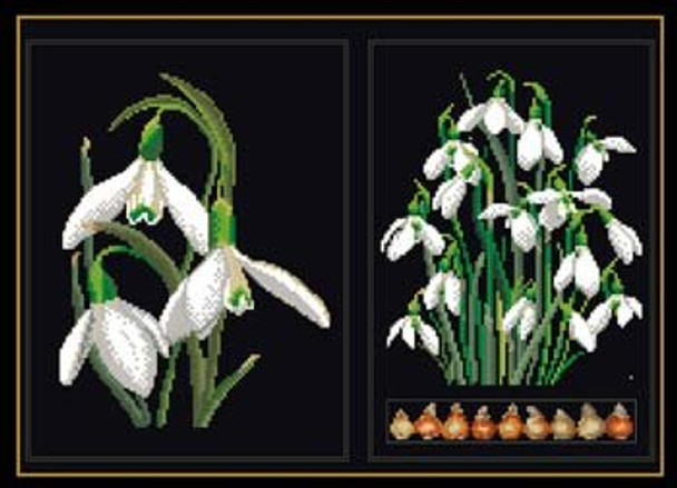 GOK446B Thea Gouverneur Kit White Flowers 13.5" x 8.5"; Aida; 18ct