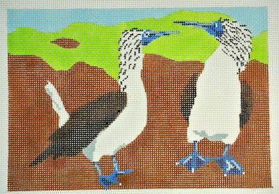 WWCO1621 Blue Footed Boobies 10 x 7  13  Mesh Waterweave