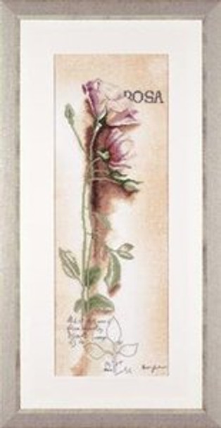 PN8050 Lanarte Kit Rosa - Botanical 8" x 24"; Linen; 30ct