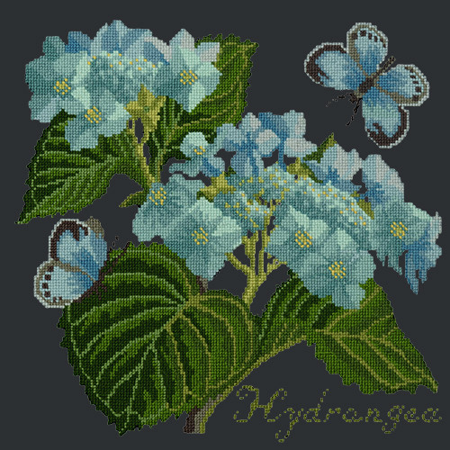 Hydrangea Black Background Kit  Elizabeth Bradley Designs