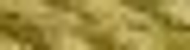 Caron Collection Snow 12 Canary Yellow 40 Yard Card Caron Collection Snow 12 Canary Yellow 40 Yard Card