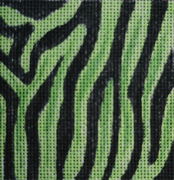 C090 Green Zebra Skin 4 x 4 13 Mesh Jane Nichols Needlepoint