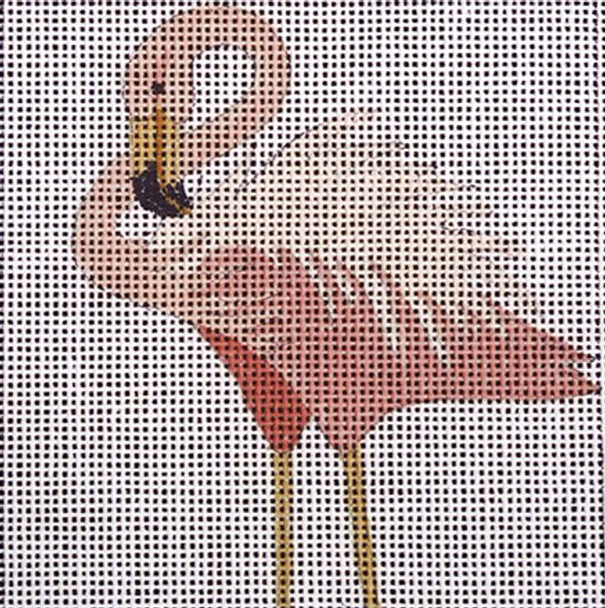 C135 Looped Neck 4 x 4 18 Mesh Flamingo Jane Nichols Needlepoint