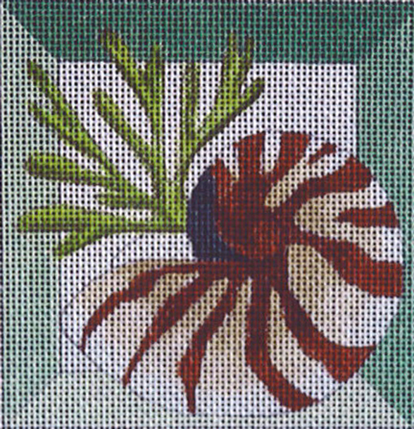 C258 Nautilus Shadowbox 4 x 4 18 Mesh Jane Nichols Needlepoint