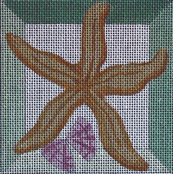 C252 Starfish Shadowbox 4 x 4 18 Mesh Jane Nichols Needlepoint