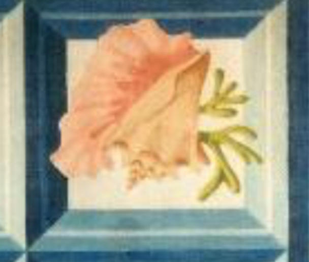 255 Queen Conch Shadowbox 12 x 12 13 Mesh Jane Nichols Needlepoint