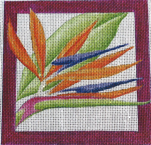 324L Bird of Paradise Square 14 x 14 13 Mesh Jane Nichols Needlepoint