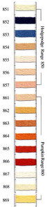 Needlepoint Inc. Silk Skein #862 Pumpkin Range