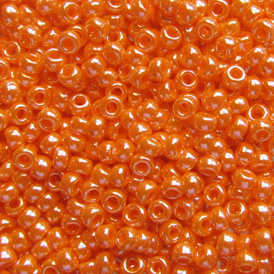 #BDS-423 Size 14 Tangerine Dream Sundance Designs