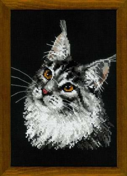 RL1599 Riolis Cross Stitch Kit Maine Coon 8.25" x 11.75"; Black Aida; 10ct 