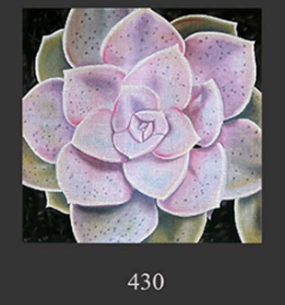 430 Sm. Pale Pink Succulent 14x14 13 Mesh Lani Enterprises 