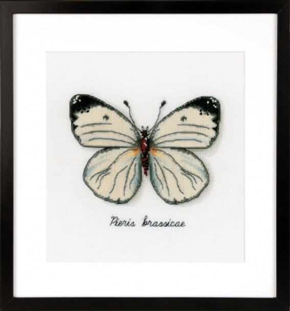 PNV165233 Vervaco Kit White Butterfly