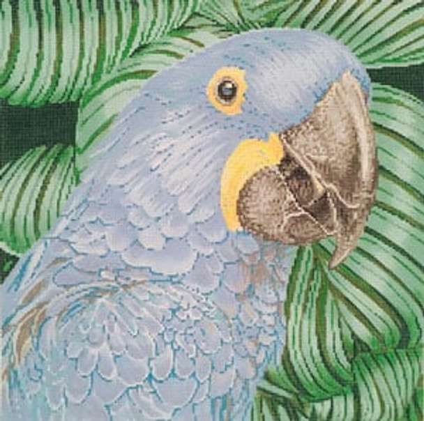 C-451b Pa Parrot Hyacinth Macaw 14 x 14 13 Mesh Meredith Collection