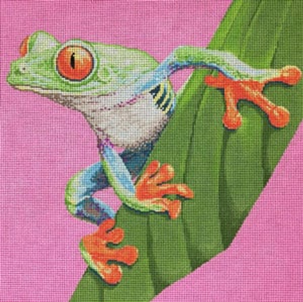 C-450tf Tree Frog 13 x 13 13 Mesh Meredith Collection