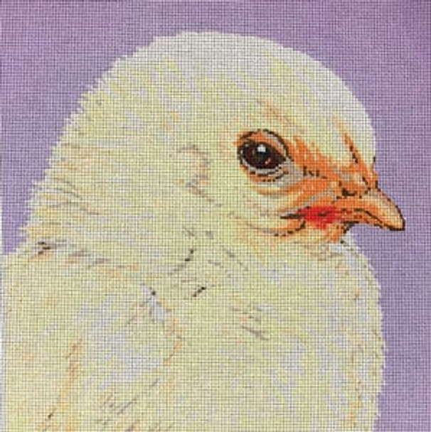 C-450L Baby Fluffy Chick 13 x 13 13 Mesh Meredith Collection