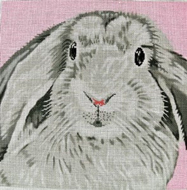 C-450bb B Floppy Ear Bunny on Pink 13 x 13 13 Mesh Meredith Collection