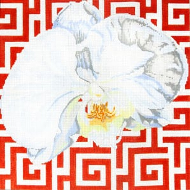 C-461j White Orchid on Terra Cotta Phalaenopsis 14 x 14 13 Mesh Meredith Collection