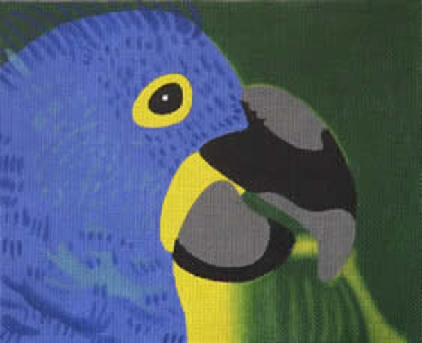 B101 Small Parrot 8x10 18 Mesh Map Designs Designs By Beth