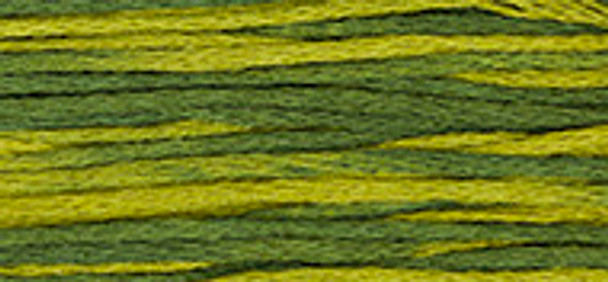 6-Strand Cotton Floss Weeks Dye Works 2202 Bullfrog