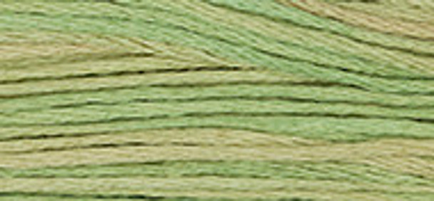 6-Strand Cotton Floss Weeks Dye Works 1189 Butter Bean