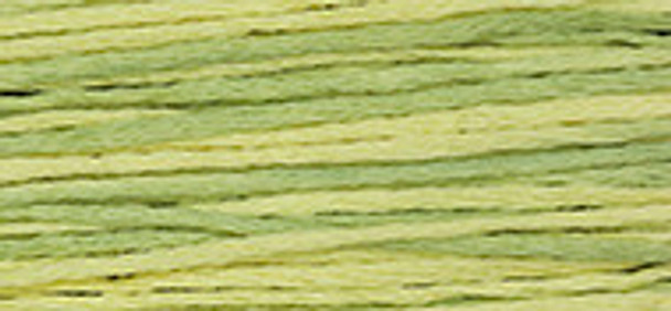 6-Strand Cotton Floss Weeks Dye Works 2210 Citronella