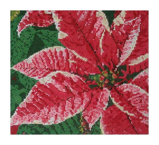 DH3624 Poinsettia Elements Designs