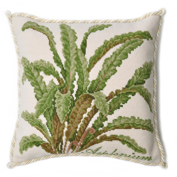 Asplenium With Cream Background Elizabeth Bradley Designs